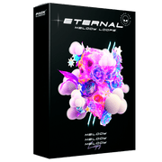 ETERNAL - Melody Loops